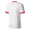 Fotbalové dresy Hamburger SV Domácí Dres 2017/18 Krátký Rukáv