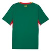 Fotbalové dresy Senegal Venkovní Dres MS 2026 Krátký Rukáv
