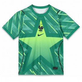 Fotbalové dresy Francie Brankářské Alternativní Dres MS 2026 Krátký Rukáv