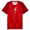 Fotbalové dresy Ghana Pre-Match MS 2026 Krátký Rukáv